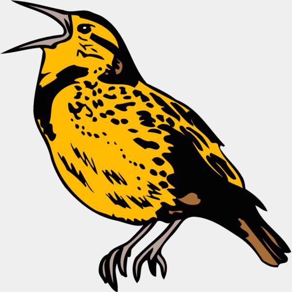 kansasmeadowlark1 Thumbnail