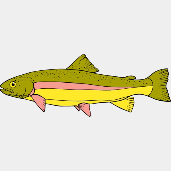 fish rainbowtrout Thumbnail