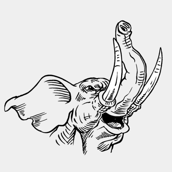 elephanthead01 Thumbnail