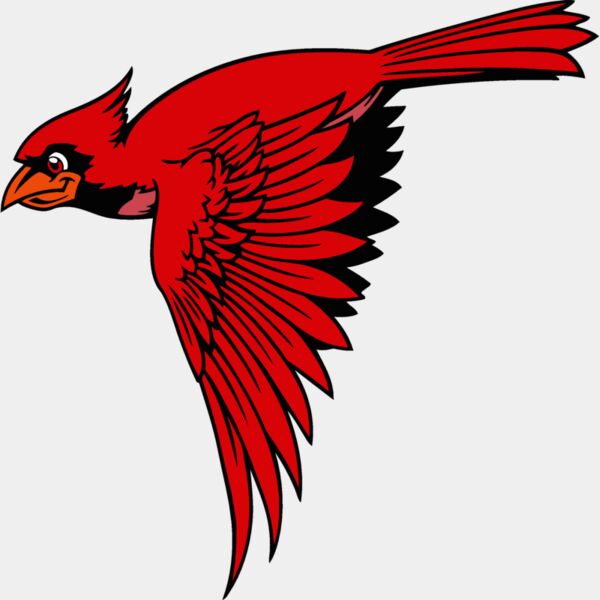 cardinal02v4clr Thumbnail