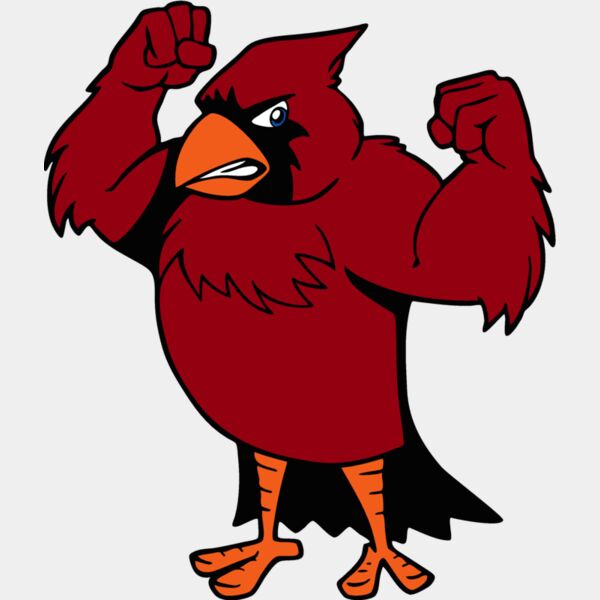 cardinalmsct3 Thumbnail