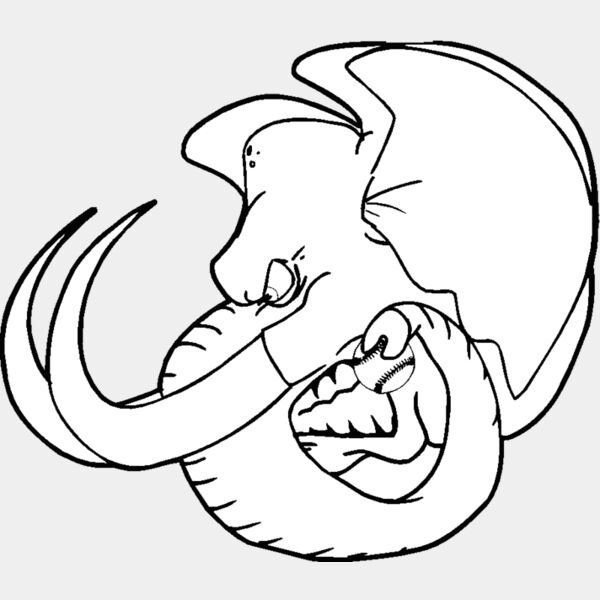 elephanthead03 Thumbnail