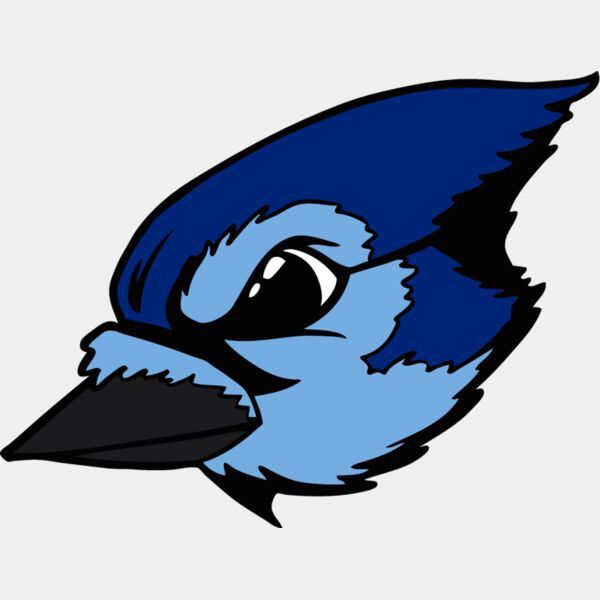 bluejay18 Thumbnail