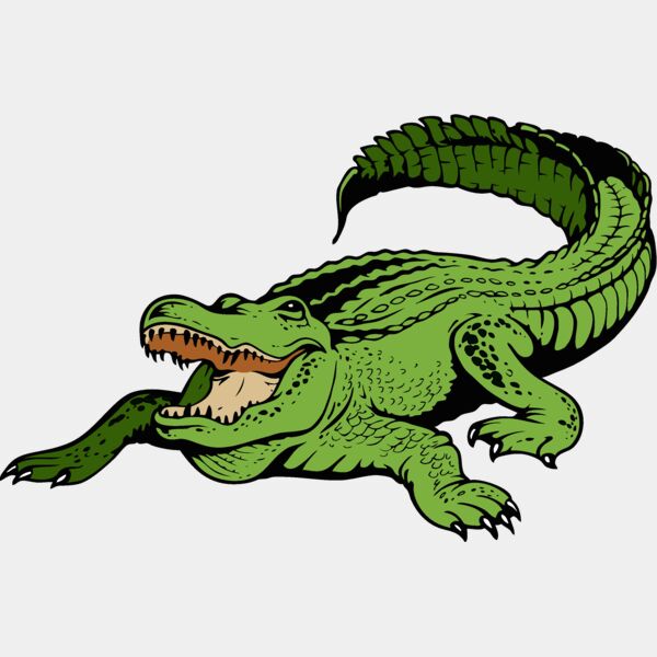 gator11v4clr Thumbnail