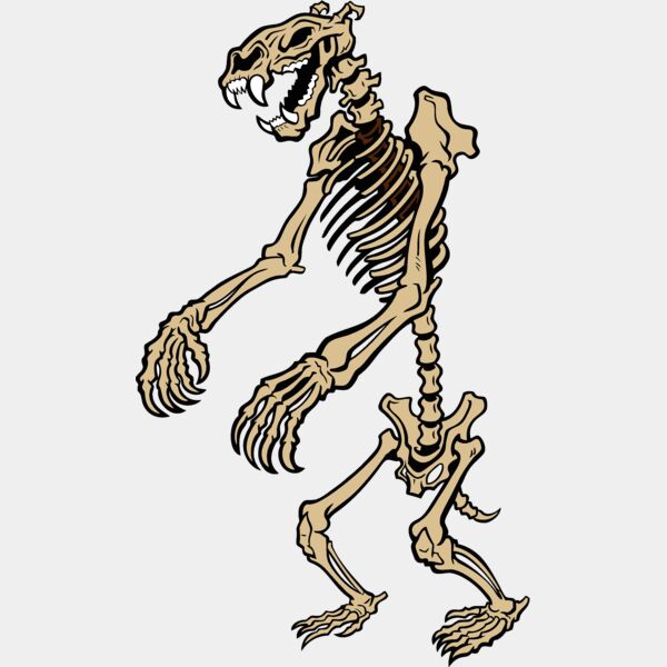 bear skeleton Thumbnail
