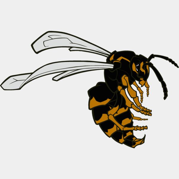 bee01v4clr Thumbnail