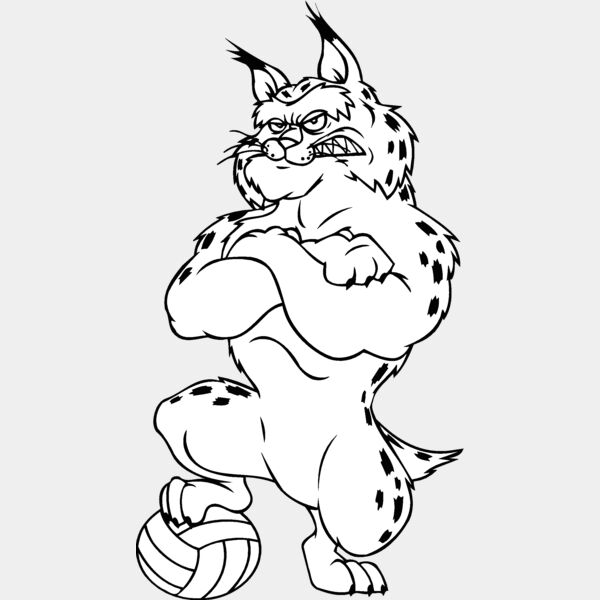 bobcatvllyblbns Thumbnail