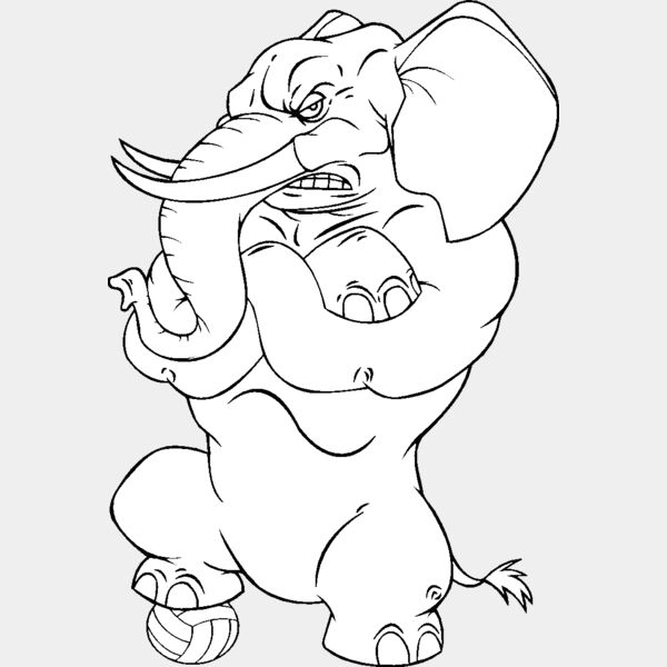 elephntvlybns Thumbnail