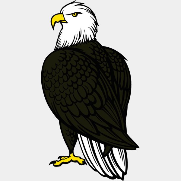 eagle10v4clr Thumbnail