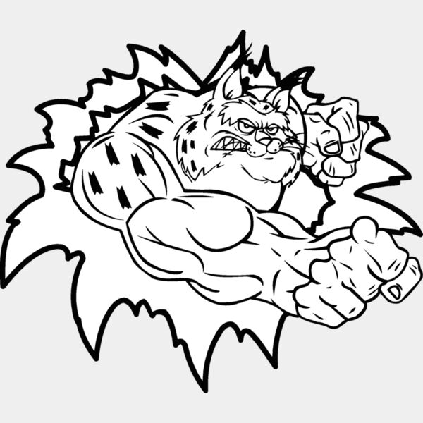 bobcattear2 Thumbnail