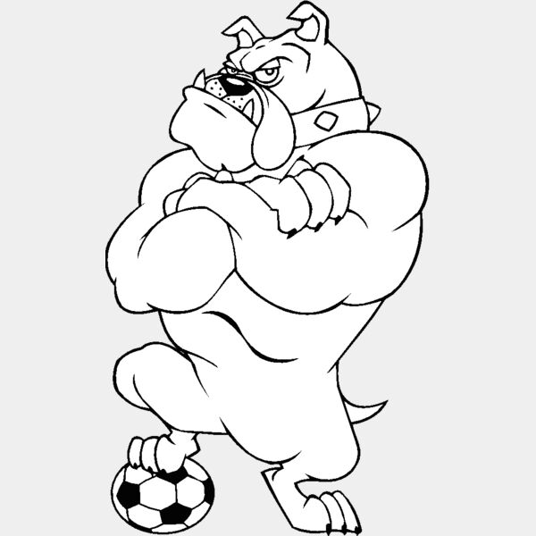bulldogsoccer2 Thumbnail