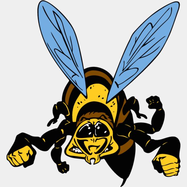 waspmsct01 Thumbnail