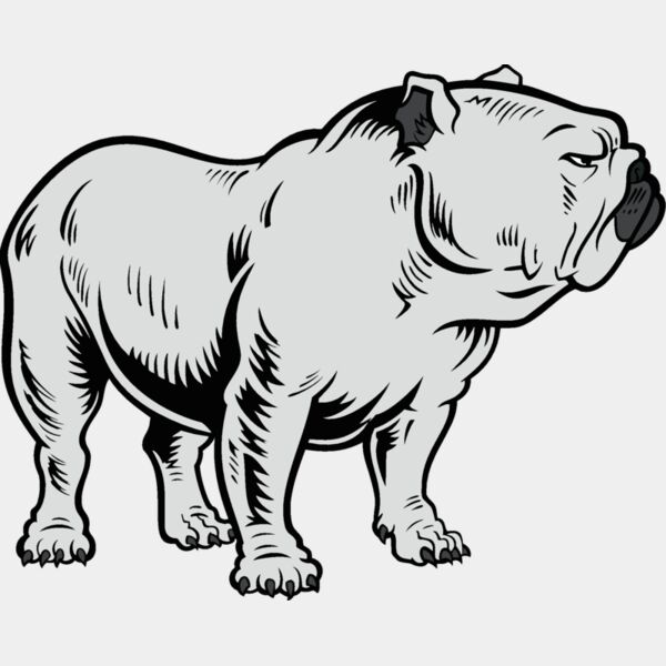 bulldog18v4clr Thumbnail