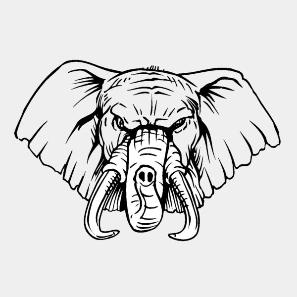 elephanthead15 Thumbnail