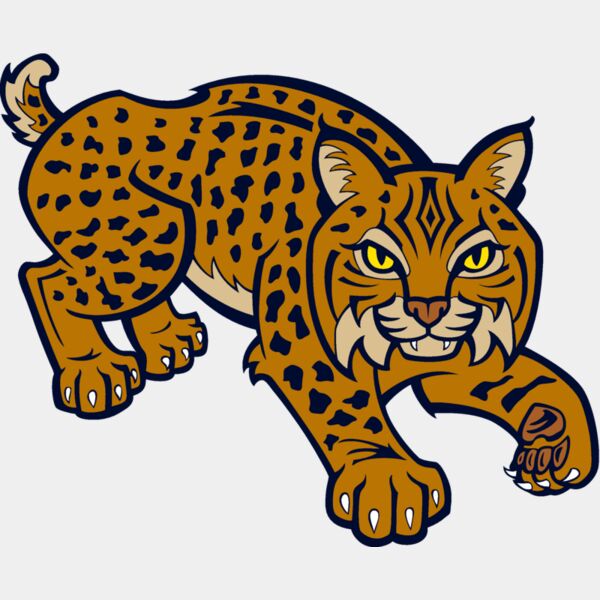 wildcat10v4clr Thumbnail