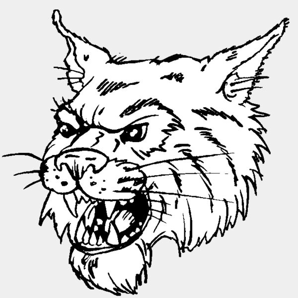 wildcathead04 Thumbnail