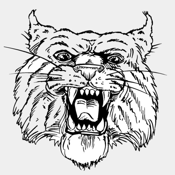 wildcathead06 Thumbnail