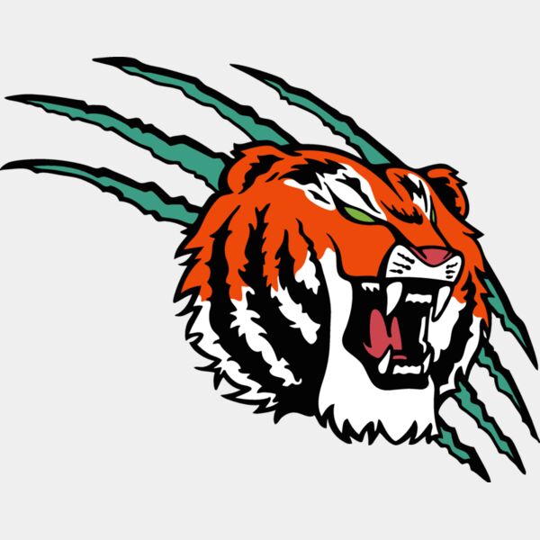 tiger07v4clr Thumbnail