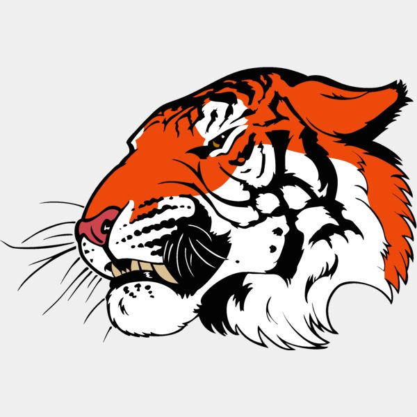 tiger08v4clr Thumbnail