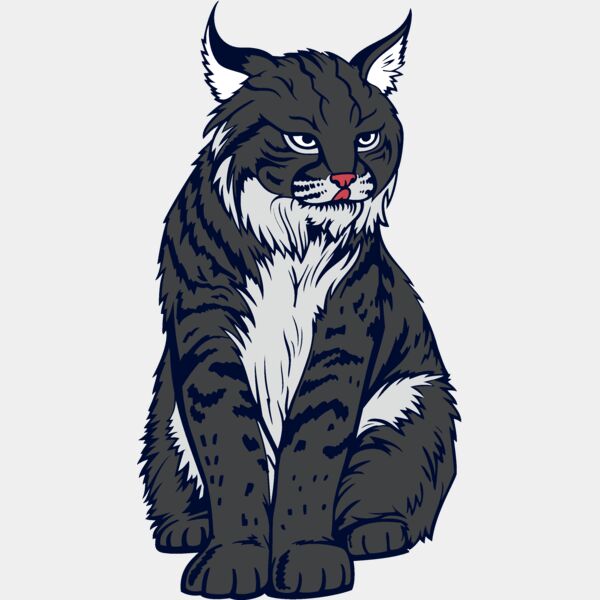 wildcat07v4clr Thumbnail