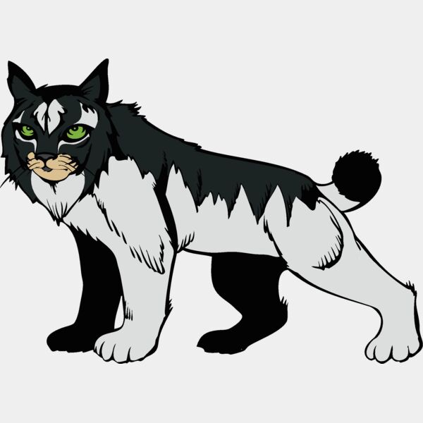 wildcat15v4clr png Thumbnail