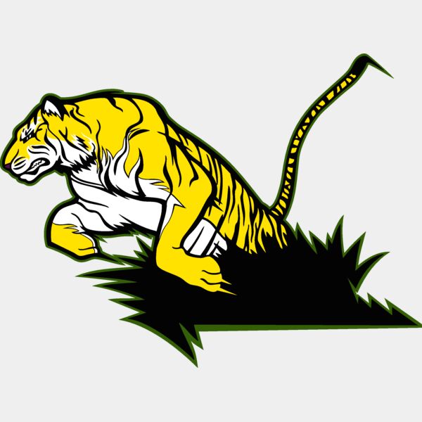 tiger16v4clr Thumbnail