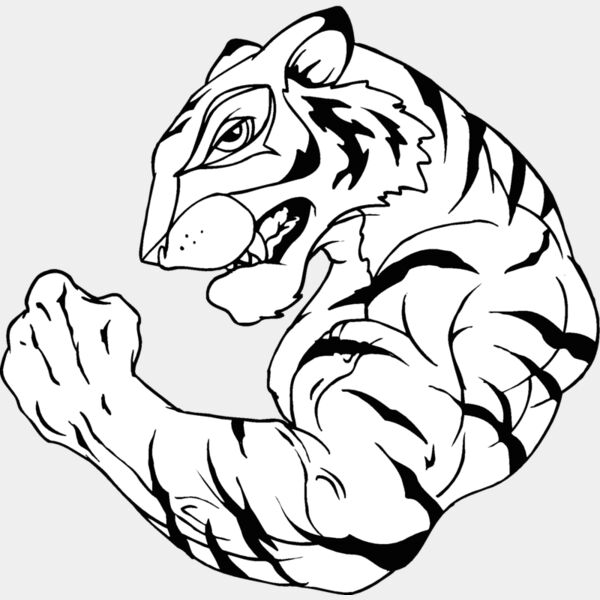 tiger2 Thumbnail