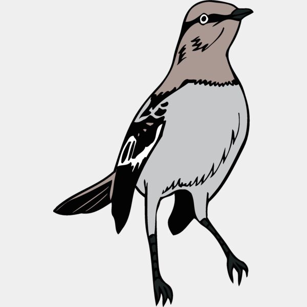 arkansasmockingbird1 Thumbnail