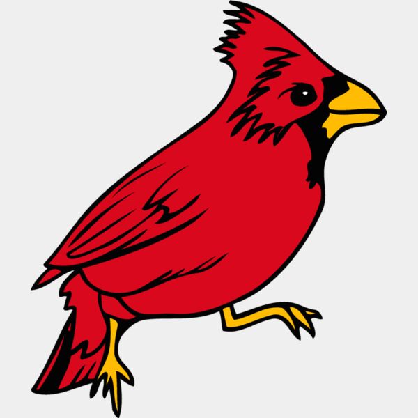 illinois cardinal 1 Thumbnail