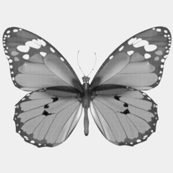 butterfly Thumbnail