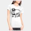 Junior Fit Cotton Boyfriend T-Shirt Thumbnail