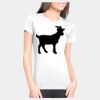 Junior Fit Cotton Boyfriend T-Shirt Thumbnail