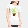 Junior Fit Cotton Boyfriend T-Shirt Thumbnail